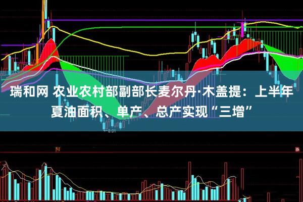 瑞和网 农业农村部副部长麦尔丹·木盖提：上半年夏油面积、单产、总产实现“三增”